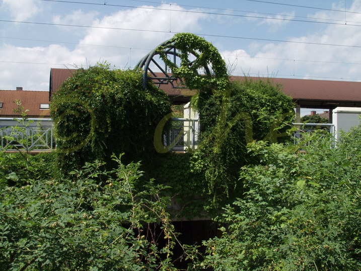 Bahnhof