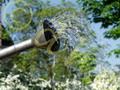 ** EU - Brunnen in 792111 Denzlingen ** EU Brunnen