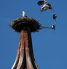 Storchenturm